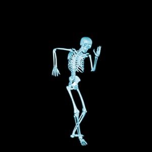 Meet your Posher, Shakiba